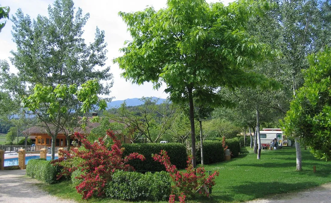 montagut-montagut-svfvc