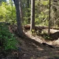 bull-run-lake-cataldo-2owtw
