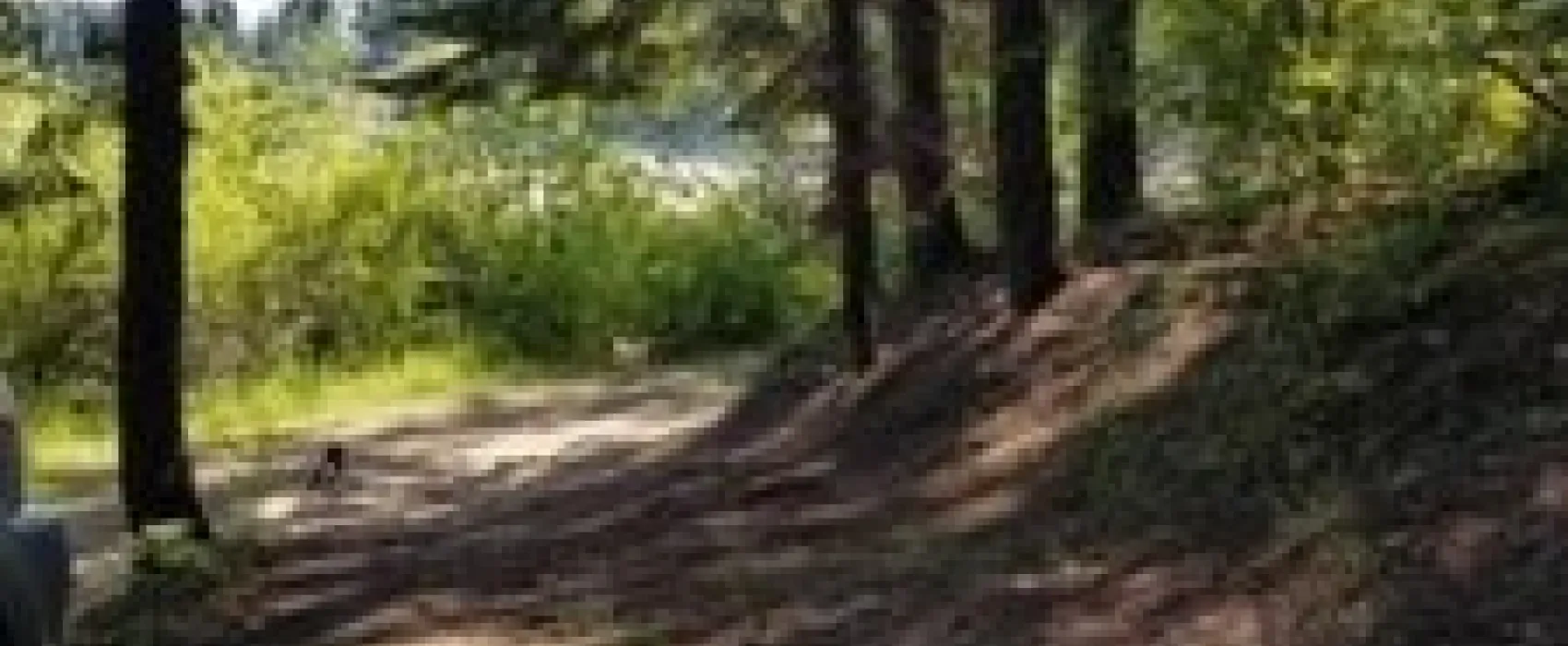 Bull Run Lake