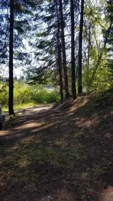 bull-run-lake-cataldo-pol9q
