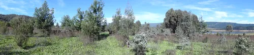 yachting-point-blowering-dam-campground-blowering-4z1b4