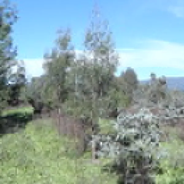 yachting-point-blowering-dam-campground-blowering-4z1b4