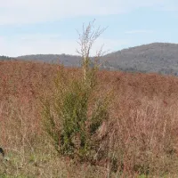 Yachting Point (Blowering Dam) Campground