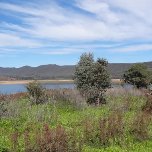 yachting-point-blowering-dam-campground-blowering-v8txy