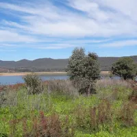 yachting-point-blowering-dam-campground-blowering-v8txy