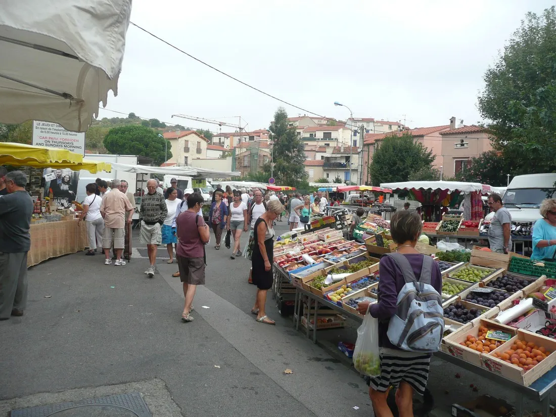 municipal-la-pinede-banyuls-sur-mer-nnon8