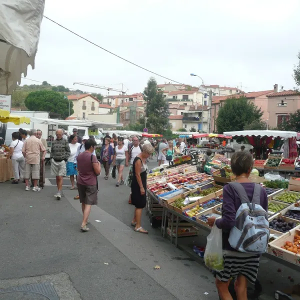 municipal-la-pinede-banyuls-sur-mer-nnon8
