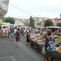 municipal-la-pinede-banyuls-sur-mer-nnon8
