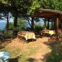 akarsu-camping-amasra-ftlcu