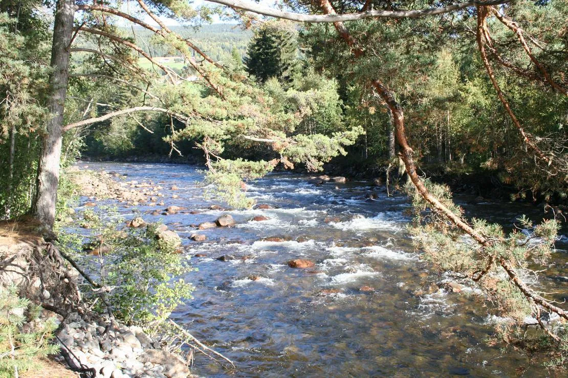 sandviken-camping-as-tinn-i-austbygd-whowv
