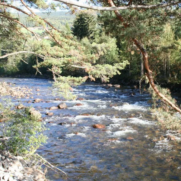 sandviken-camping-as-tinn-i-austbygd-whowv
