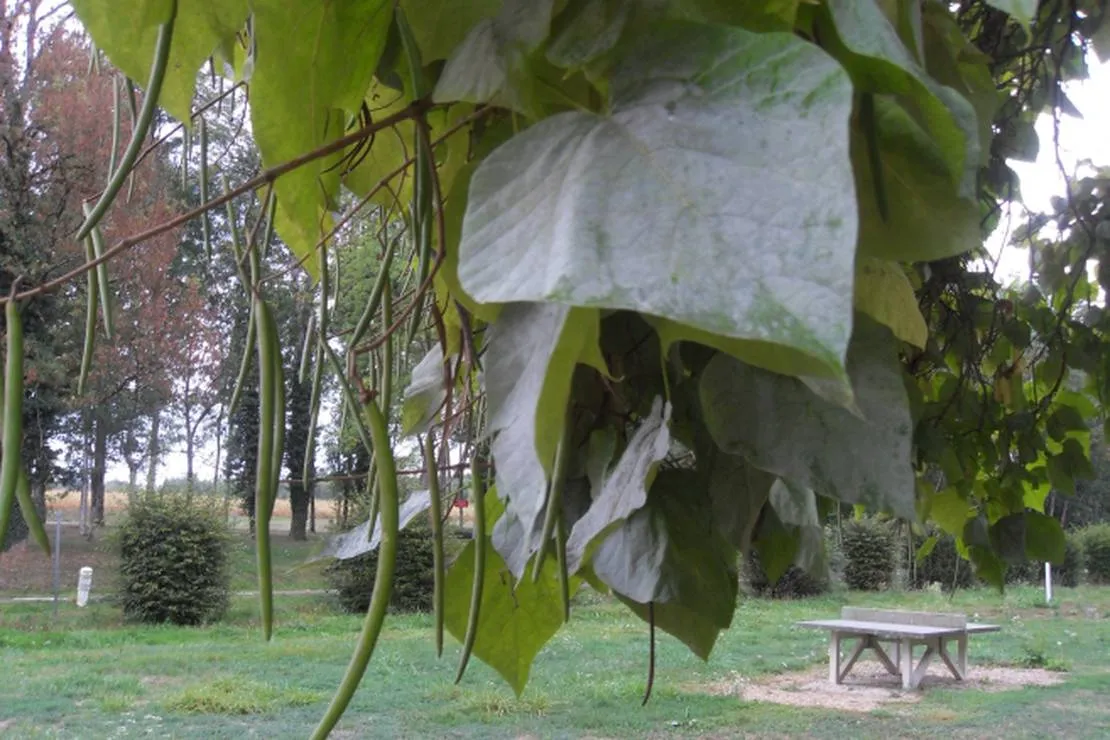 camping-la-fontaine-aux-fees-renaucourt-rm5ah
