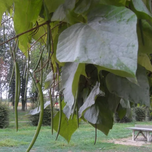 camping-la-fontaine-aux-fees-renaucourt-rm5ah