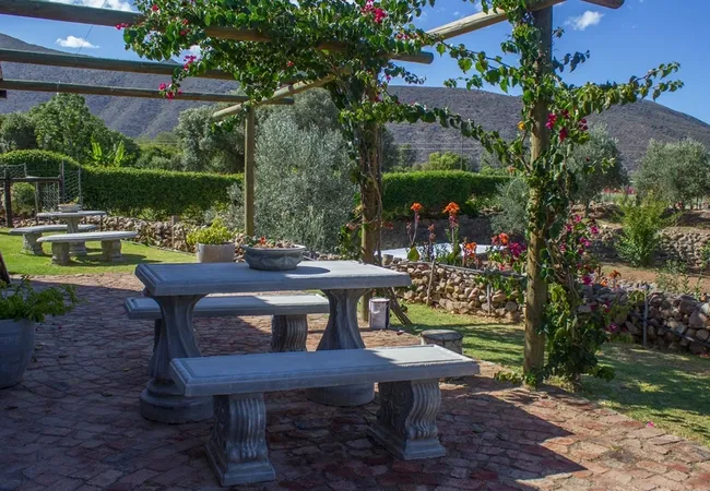 schoemanshoek-glamping-schoemanshoek-oudtshoorn-dwwup