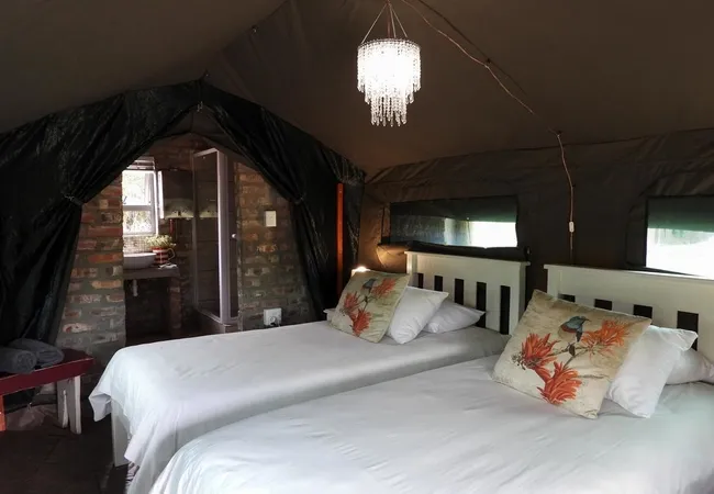 schoemanshoek-glamping-schoemanshoek-oudtshoorn-ox8dw