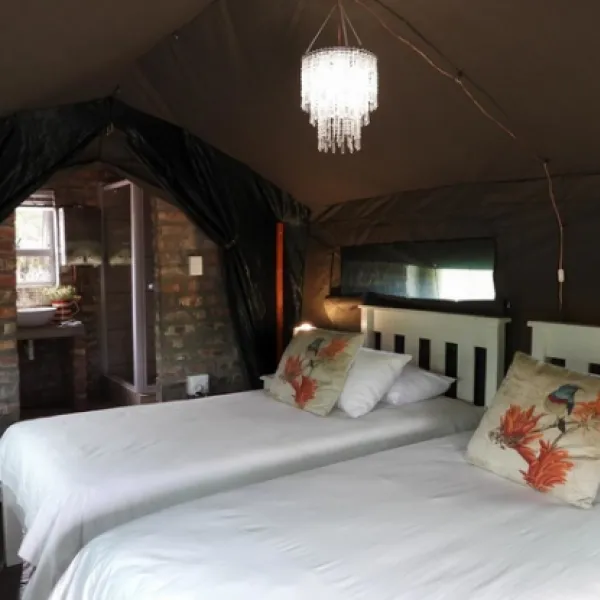 schoemanshoek-glamping-schoemanshoek-oudtshoorn-ox8dw