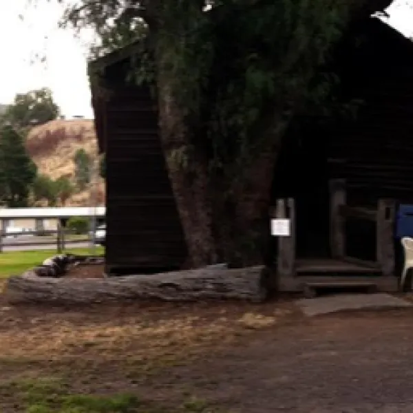 licola-caravan-park-campground-licola-stcp8