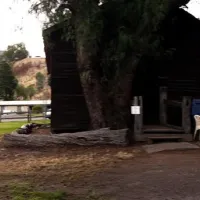 licola-caravan-park-campground-licola-stcp8