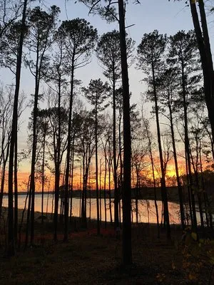 joe-wheeler-state-park-rogersville-msrxe