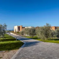 papafigo-vodnjan-ipxze