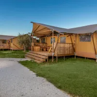 papafigo-vodnjan-l5pxk