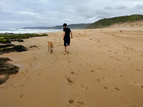 johanna-beach-campground-johanna-15dny