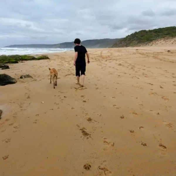 johanna-beach-campground-johanna-15dny