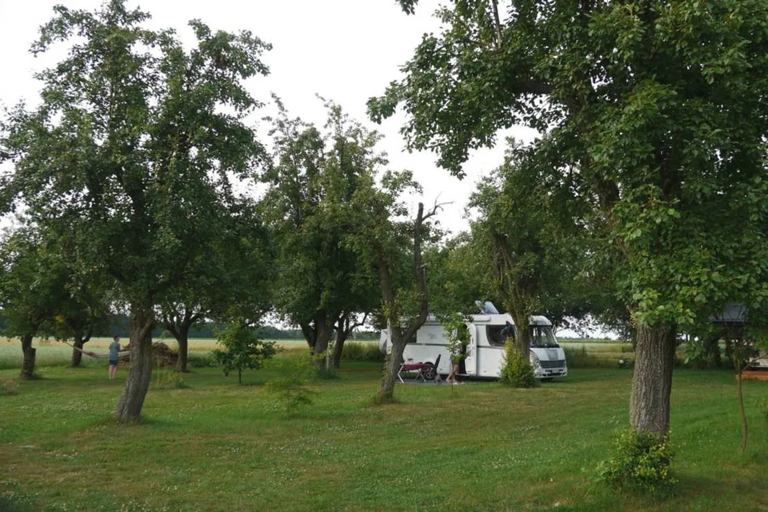 camping-bumerang-lipce-reymontowskie-n2e0t