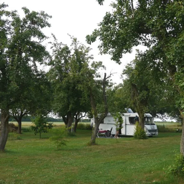 camping-bumerang-lipce-reymontowskie-n2e0t