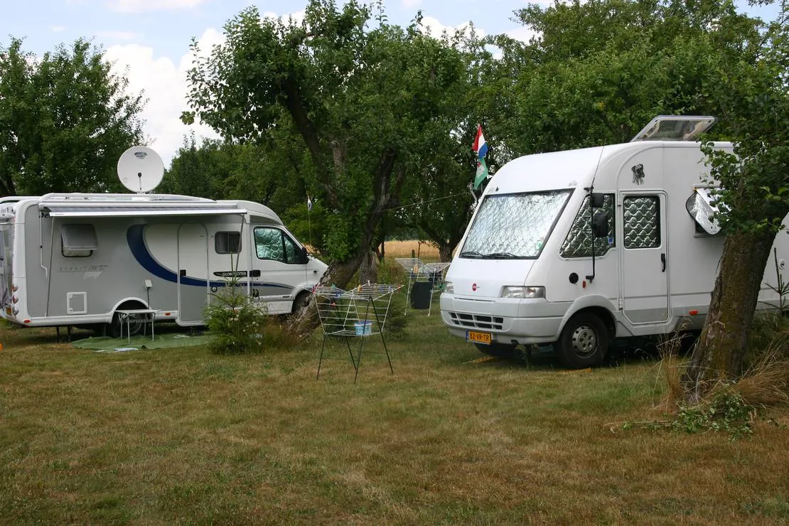 camping-bumerang-lipce-reymontowskie-q7qmd
