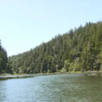 albion-river-campground-albion-xhcif