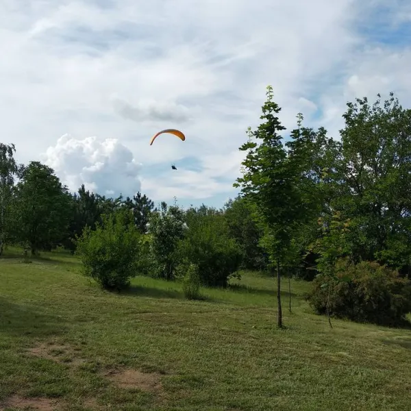 bacota-near-butuceni-6skur