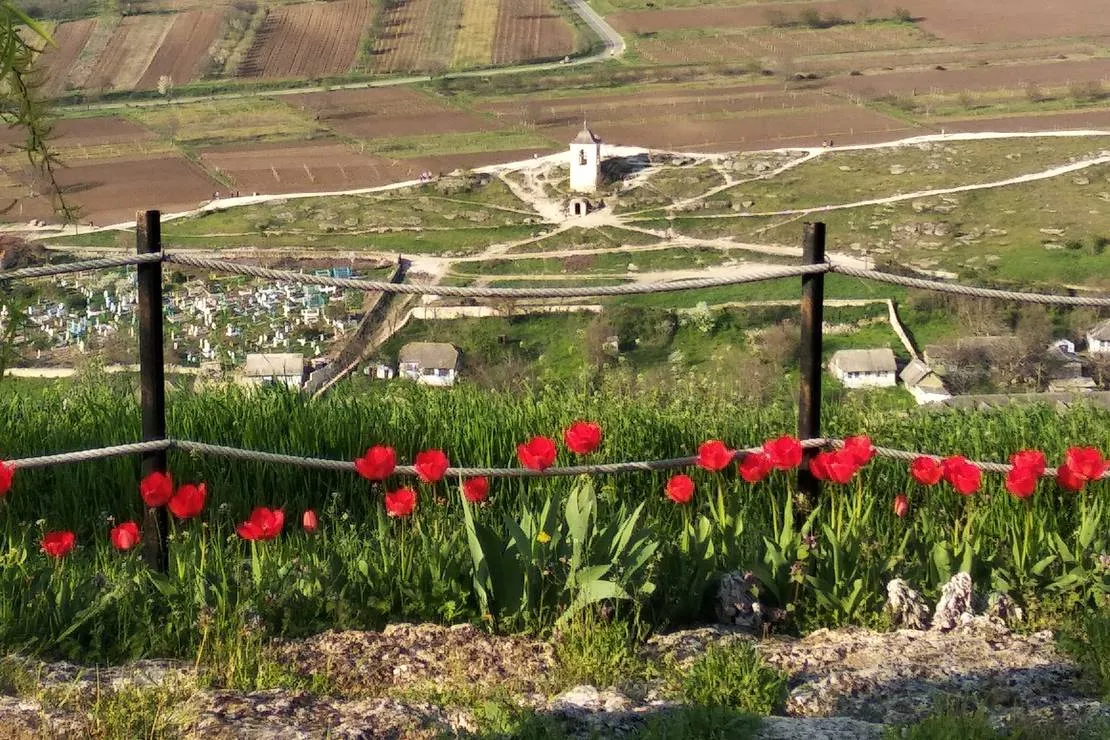 bacota-near-butuceni-biang