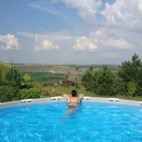 bacota-near-butuceni-pgzha