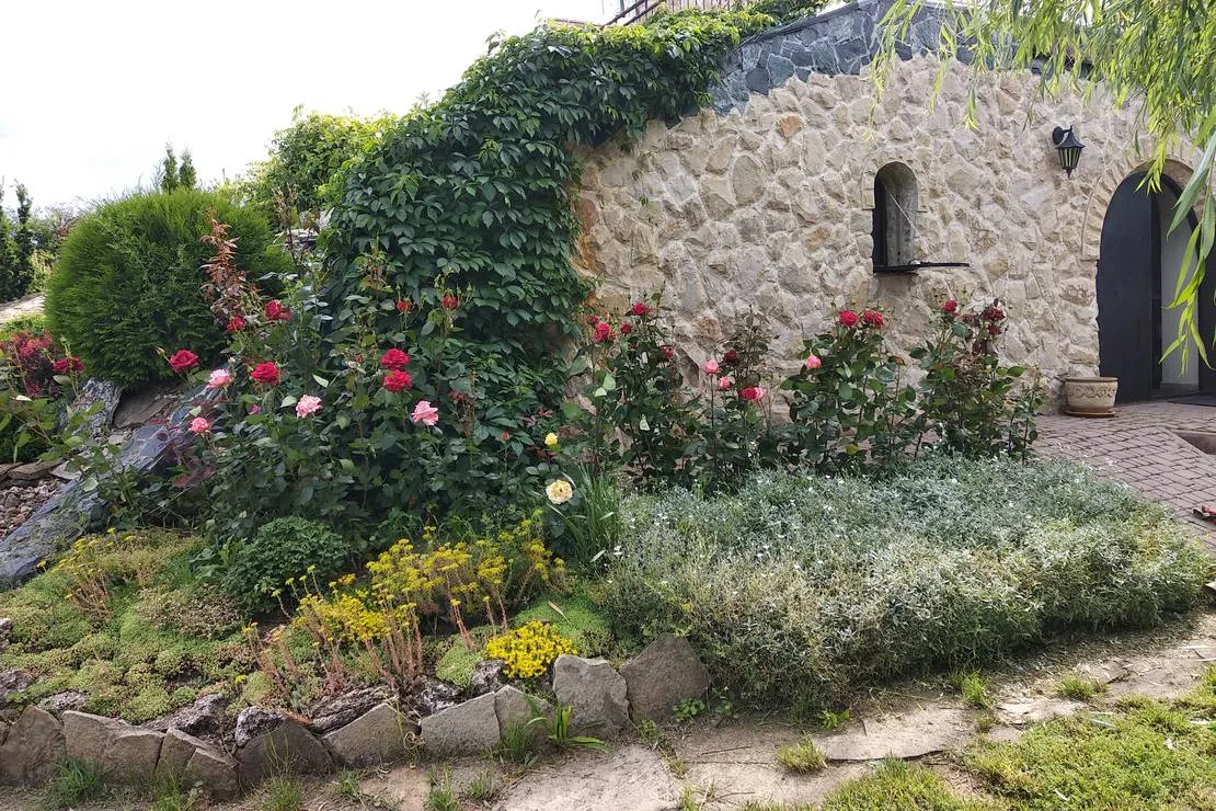 bacota-near-butuceni-q2yva