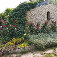 bacota-near-butuceni-q2yva