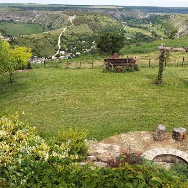 bacota-near-butuceni-quven