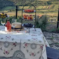 bacota-near-butuceni-szz4j