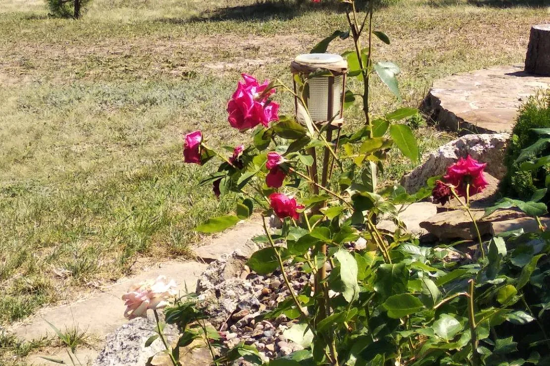 bacota-near-butuceni-ws5ww