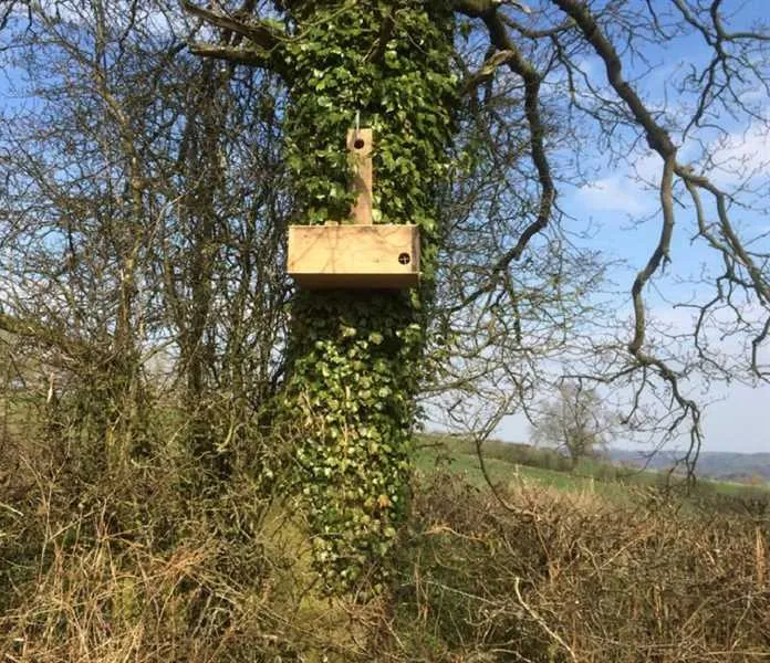 farm-on-the-hill-uttoxeter-c1mjb