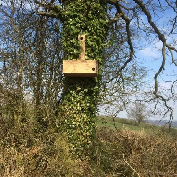 farm-on-the-hill-uttoxeter-c1mjb