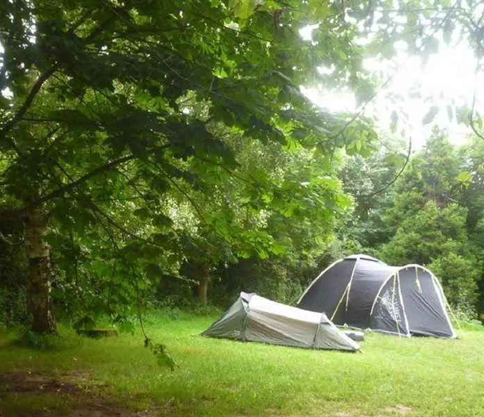 farm-on-the-hill-uttoxeter-cscef