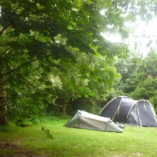 farm-on-the-hill-uttoxeter-cscef