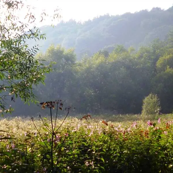 farm-on-the-hill-uttoxeter-pdxwt