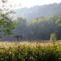 farm-on-the-hill-uttoxeter-pdxwt