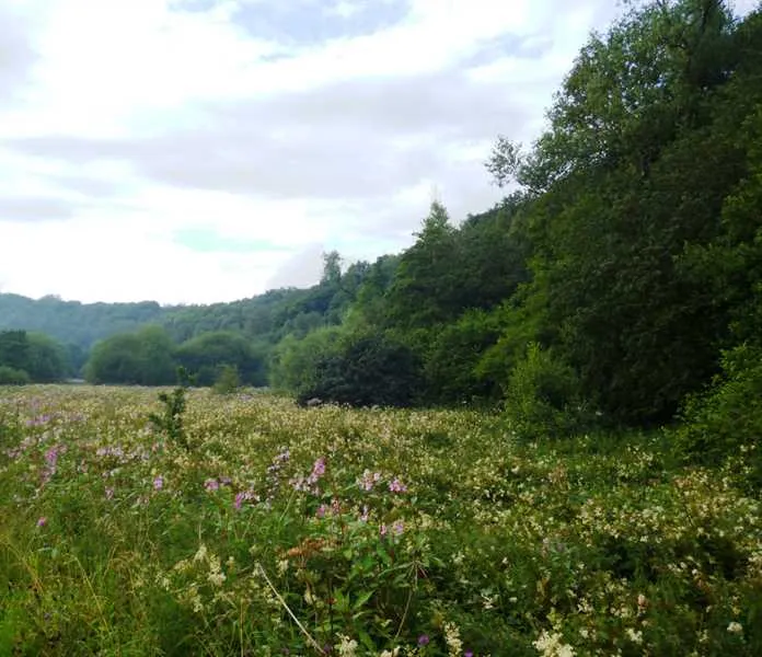 farm-on-the-hill-uttoxeter-yi8pn