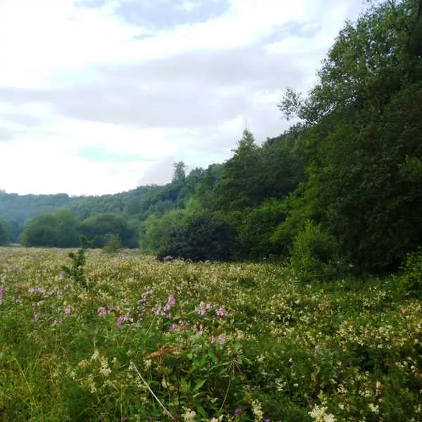 farm-on-the-hill-uttoxeter-yi8pn