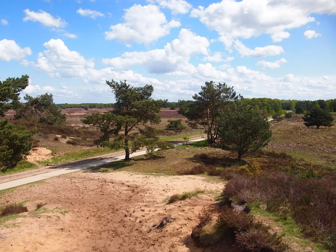 kampeerterrein-de-toekomst-emst-2x7ms
