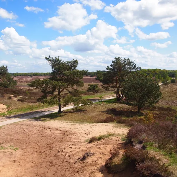 kampeerterrein-de-toekomst-emst-2x7ms
