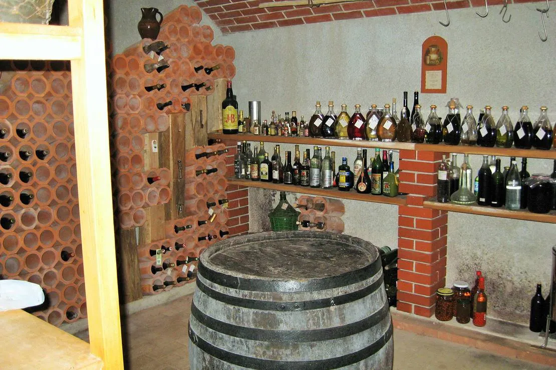 camping-na-meji-pivka-jzbfu